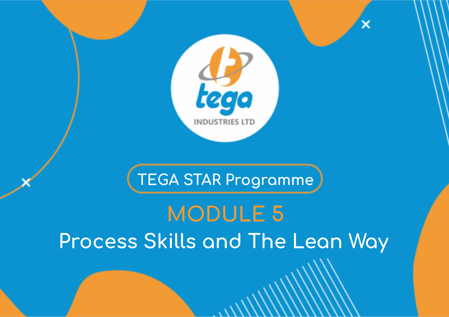 TEGA Star Programme – Module 5: Process Skills & The Lean Way – Tega ...